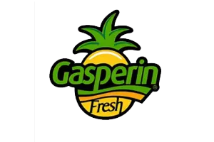 gasperin